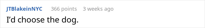 Comment saying "I'd choose the dog" about spouse choosing between partner and dog.