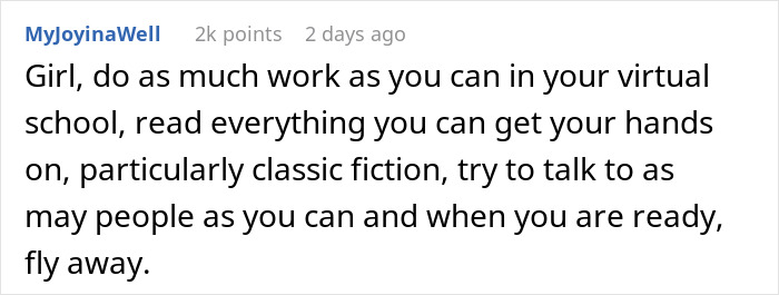 Screenshot of a Reddit comment advising a girl to focus on virtual school and independence amid family drama with aunt and babysitting issues.