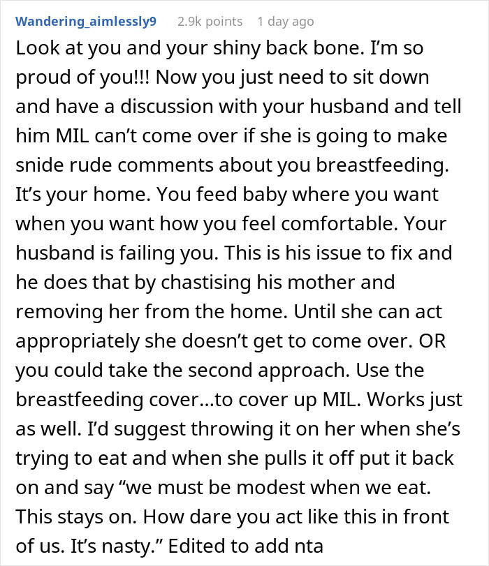 Text from an online forum discussing a woman's response to rude comments about breastfeeding.