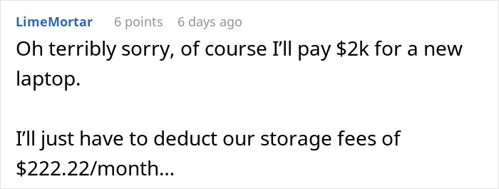 Text comment discussing storage fees for a laptop, with a sarcastic tone.