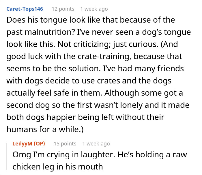 Conversation about adopted dog's behavior, mentioning tongue appearance and crate-training advice.