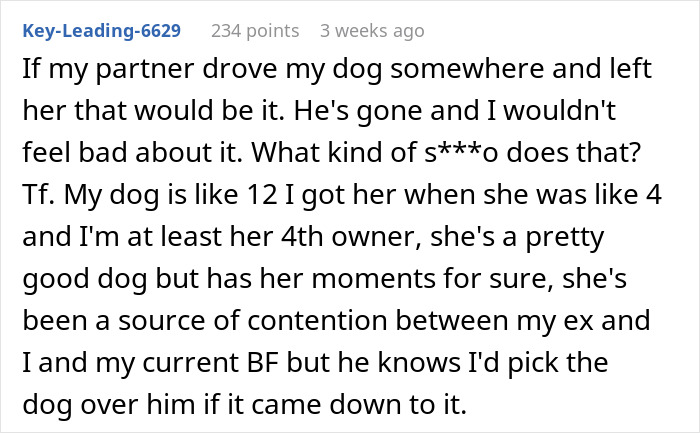 Text from a user about choosing their dog over a partner due to a dispute.