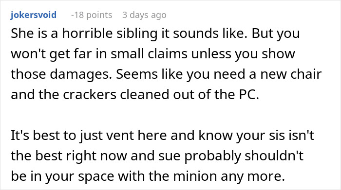 Reddit comment on drama and $2,000 damages from sister and nephew visit.