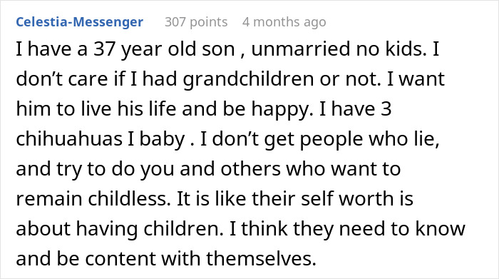 Comment discussing childlessness and personal contentment, referencing having a 37-year-old son and three chihuahuas.