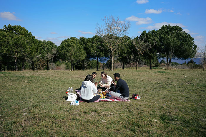 Employees enjoying a company-sponsored picnic, illustrating work perks under sunny skies with a backdrop of trees.