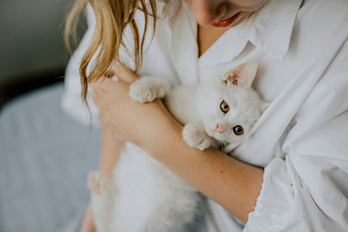 Person in a white shirt cuddling a white kitten, illustrating caring work perks.