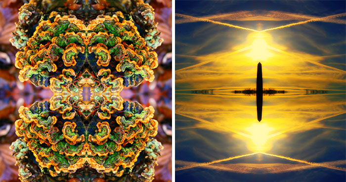 My 36 Photos Of Nature That I Took While Taking A Walk