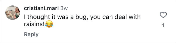 Comment on whether Costco carrot cake should contain hidden raisins.