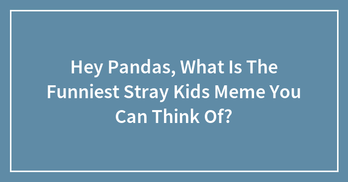 Hey Pandas, What Is The Funniest Stray Kids Meme You Can Think Of?