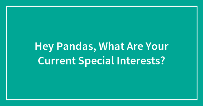 Hey Pandas, What Are Your Current Special Interests? (Closed)
