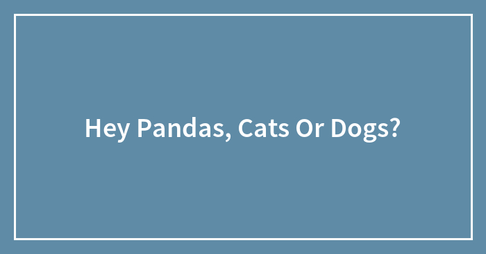 Hey Pandas, Cats Or Dogs?