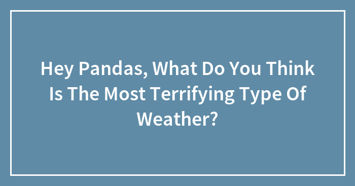 Hey Pandas, What Do You Think Is The Most Terrifying Type Of Weather? (Closed)