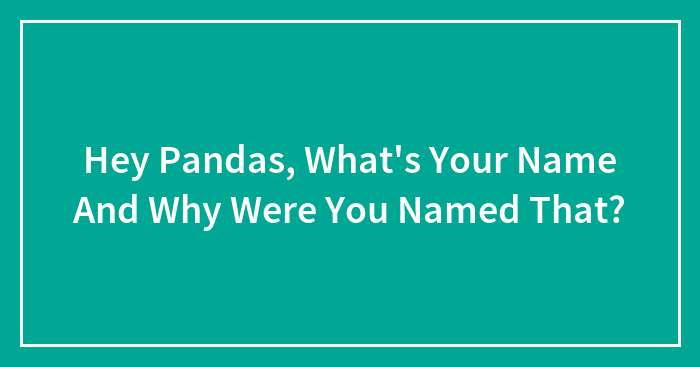 Hey Pandas, What’s Your Name And Why Were You Named That? (Closed)