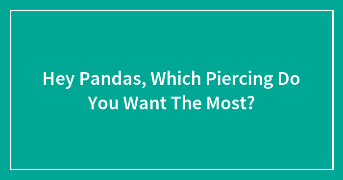 Hey Pandas, Which Piercing Do You Want The Most? (Closed)