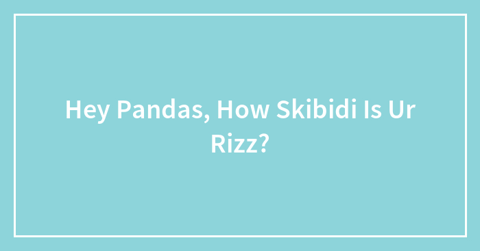 Hey Pandas, How Skibidi Is Ur Rizz?
