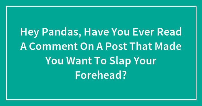 Hey Pandas, Have You Ever Read A Comment On A Post That Made You Want To Slap Your Forehead?