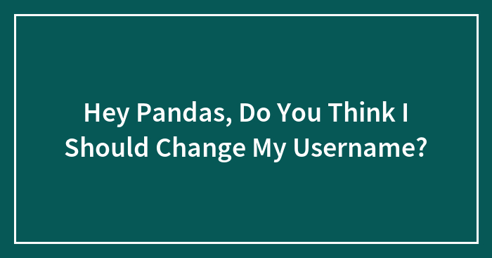 Hey Pandas, Do You Think I Should Change My Username?