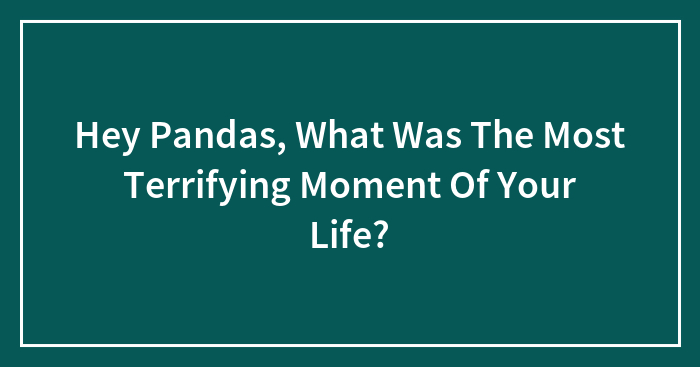 Hey Pandas, What Was The Most Terrifying Moment Of Your Life? (Closed)
