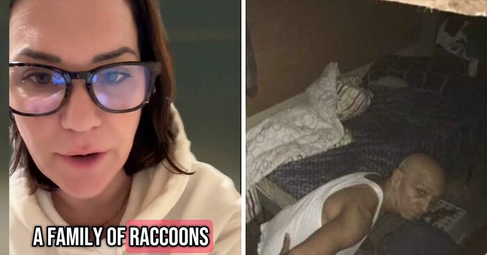 Woman Discovers Stranger “Phrogging” In Her Attic For Over A Year