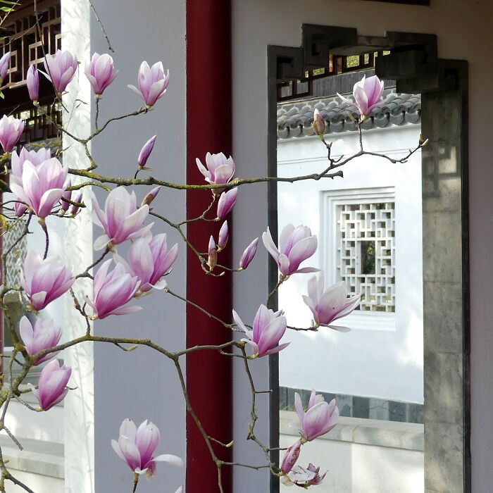 I Spent Last Week In Berlin And Captured These 39 Moments