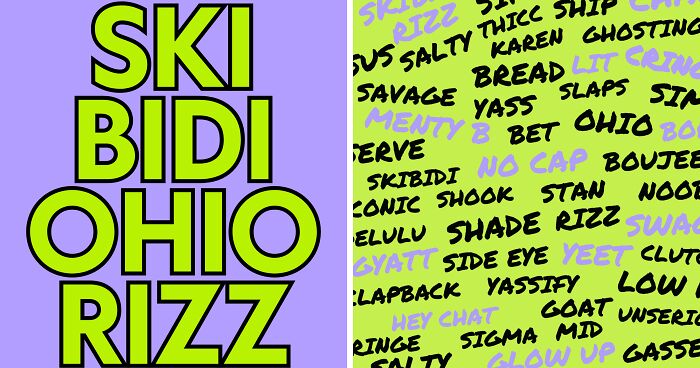 I Made This Funny Workbook-Style Book Called Skibidi Ohio Rizz