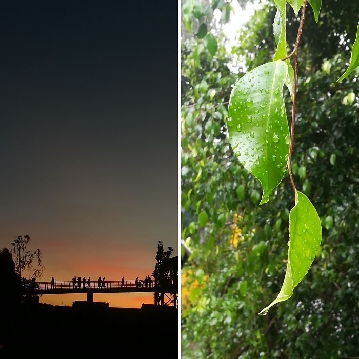 I Took Some Photos In The Wild, Here’s The Result