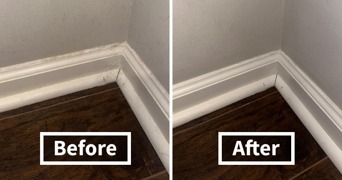 Adulting Means Finally Understanding The Hype Around These 22 Ridiculously Popular Cleaning Must-Haves