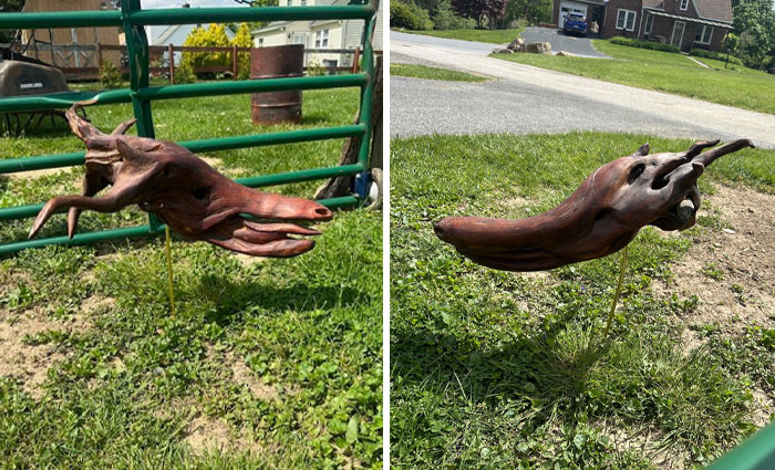 Wooden sculpture resembling a creepy animal-like creature, displayed outdoors on grass near a fence and houses.