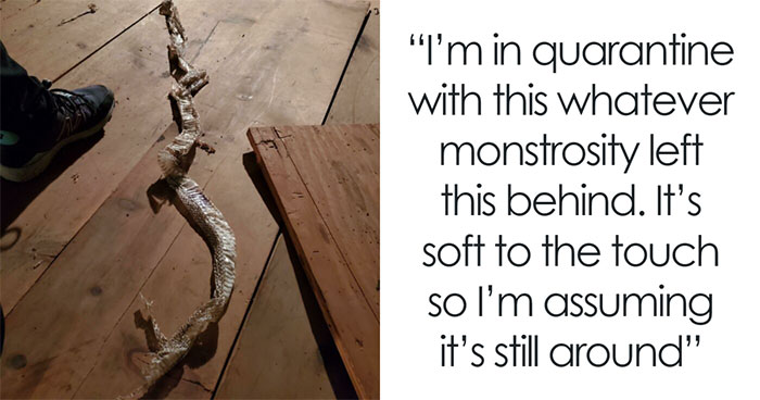 50 Bone-Chilling Home Finds That Made Owners Regret Moving In (New Pics)