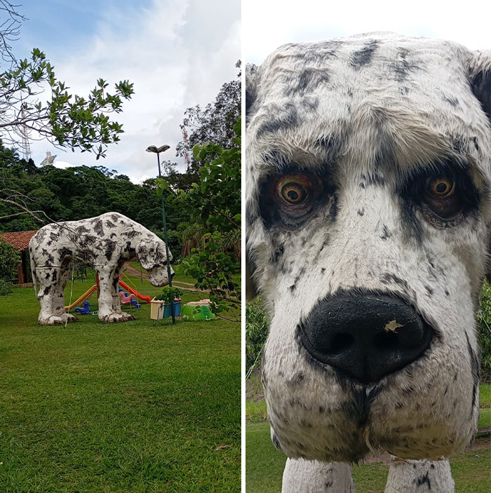 Large creepy dog sculpture with realistic eyes in a park playground, an unusual and eerie discovery shared online.