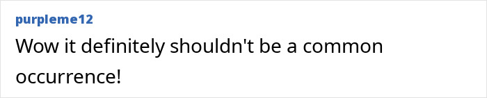 Comment by user purplme12 expressing concern about a delivery driver's behavior. Comment by user purplme12 expressing concern about a delivery driver's behavior.