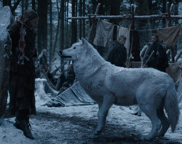 Dire wolf from 'Game of Thrones' in a snowy forest scene, interacting with a person.