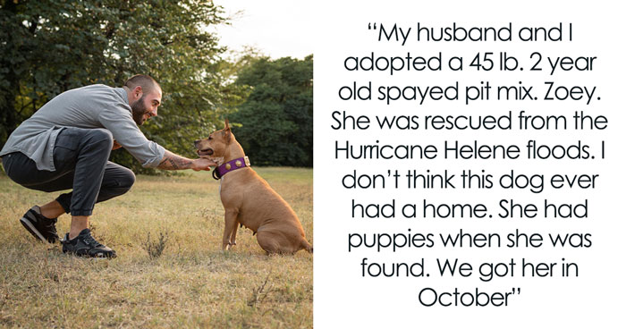 Woman Reveals Her Regret That A Rescue Dog Is Destroying Her Marriage, Asks For Advice