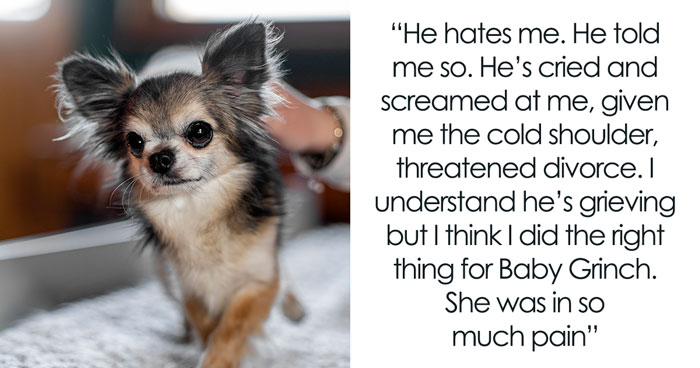 Man Can’t Believe His Wife Went Behind His Back To Put Down Their Suffering Old Dog