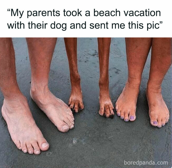 Close-up of human feet and dog paws on sand, illustrating connection and warmth in dog memes to help heal.