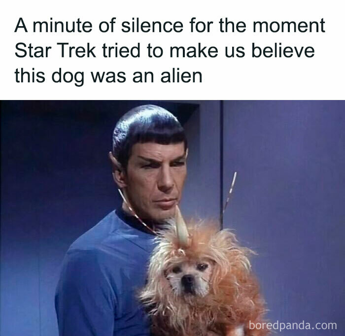 A Star Trek character holding a dog dressed with alien-like ears in a humorous dog meme for healing.