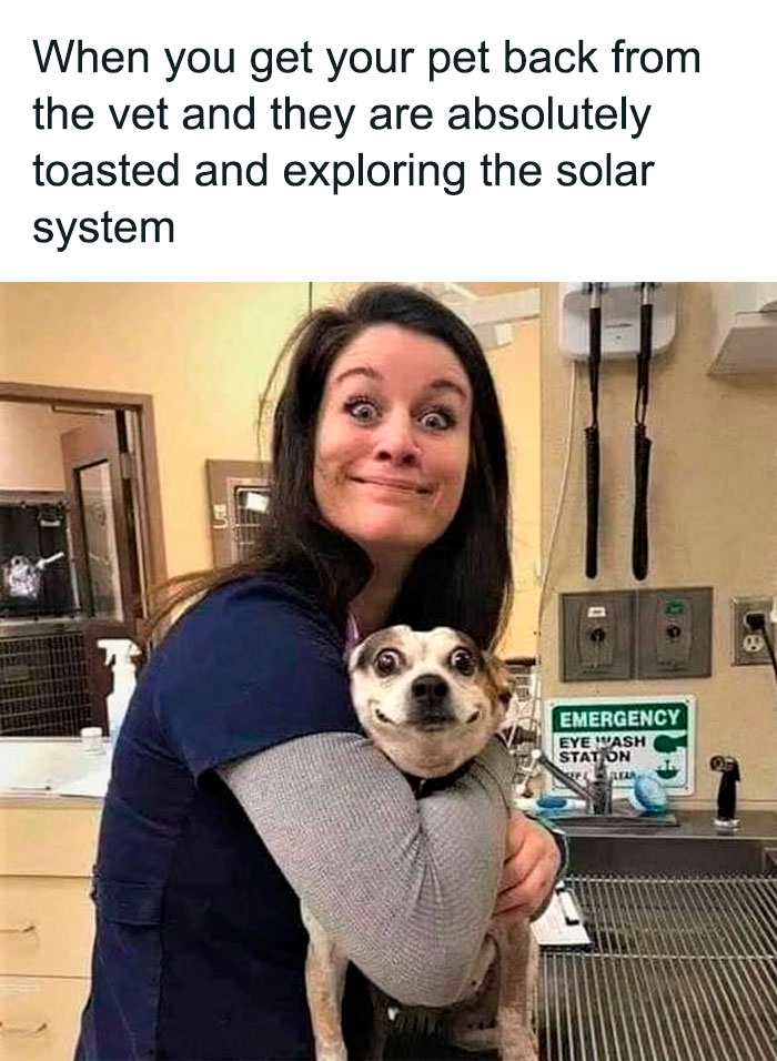 Woman holding a confused dog at vet clinic, showcasing funny dog memes to help heal from a miserable world.