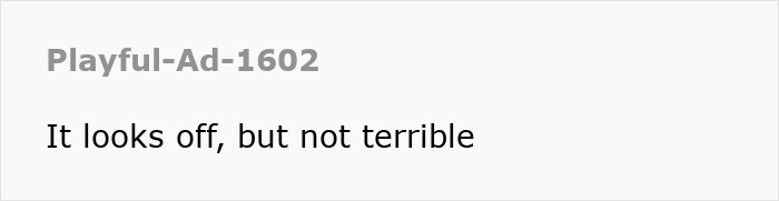 Comment from user Playful-Ad-1602: "It looks off, but not terrible.