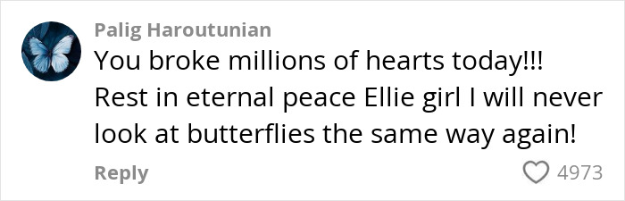 Condolence message for influencer's daughter with butterfly icon, expressing heartbreak and change in perception of butterflies.