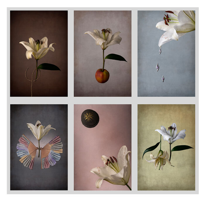 "My Self, Without Me" By Susana Florez Febles