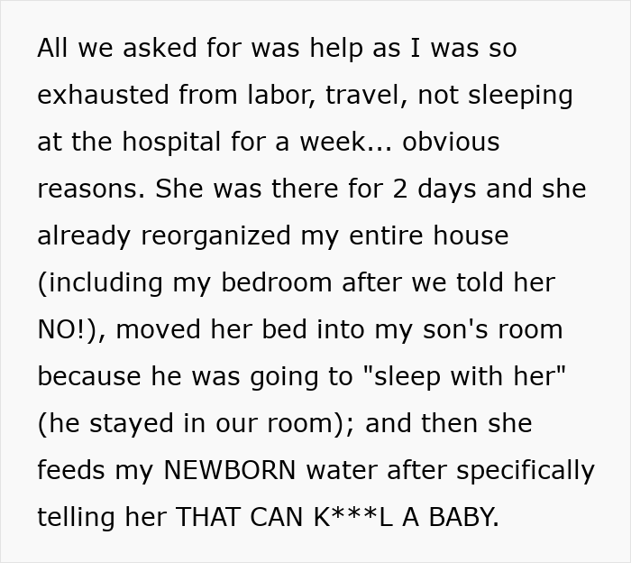 Text depicting chaotic family drama and false CPS claims involving interference with household and newborn care.