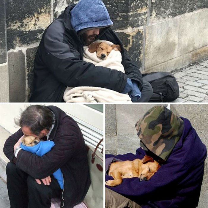 Homeless individuals cuddling dogs outdoors, sharing warmth and companionship—part of amazing stories worldwide.