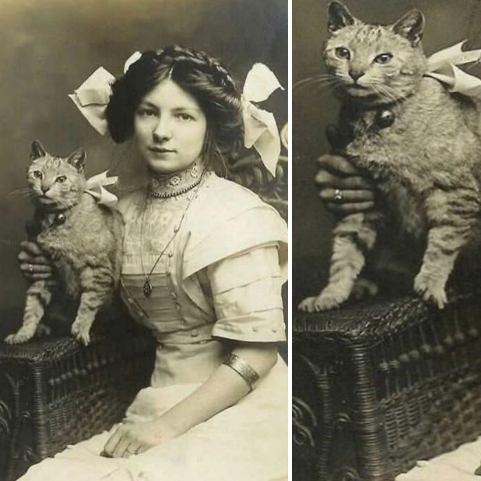Young woman with a braided hairstyle, sitting with a cat on a wicker chair, creating a vintage, "forbidden stories" vibe.