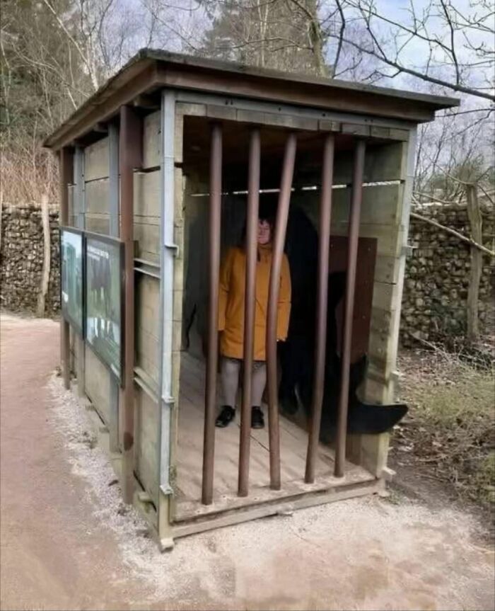 Person standing in a small wooden cage, representing forbidden stories, with barred entrance in an outdoor setting.