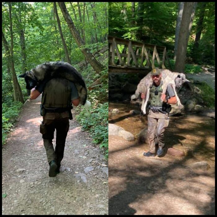 Man carrying a large dog through a wooded trail, showcasing an amazing story of rescue in nature.