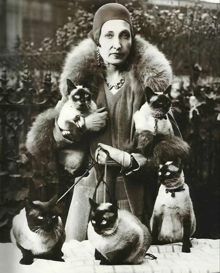 A woman elegantly dressed with four Siamese cats, representing a forbidden story of feline companions.