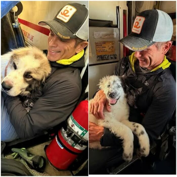 Man cuddling a dog on a plane, showcasing a heartwarming and forbidden story from around the world.