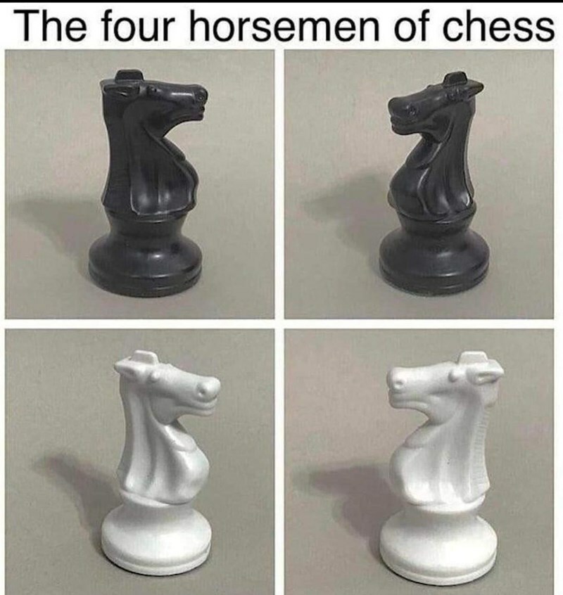 5 Most Random Memes Possible