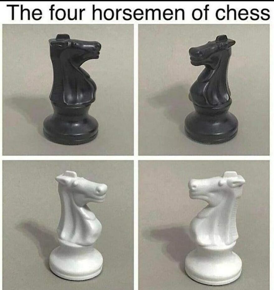 5 Most Random Memes Possible