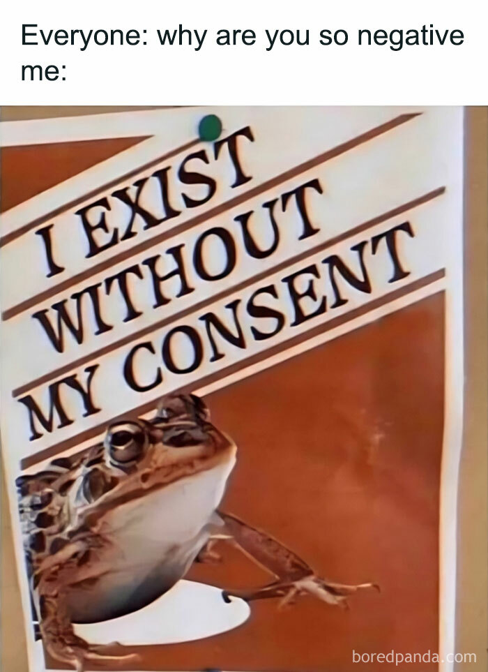 Meme with a frog and text expressing negativity, relatable to those who struggle with anxiety and mental health challenges.